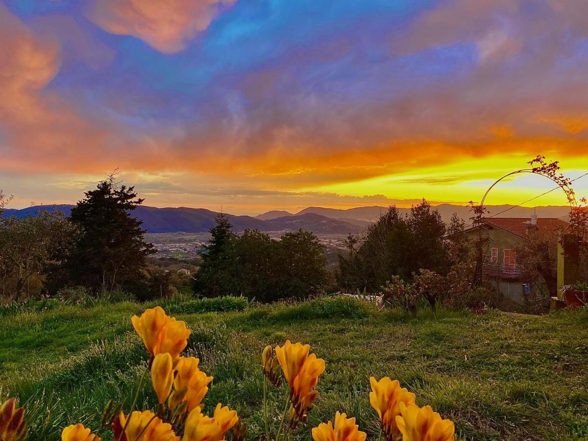 La Ginestra B&B Фоздиново Экстерьер фото