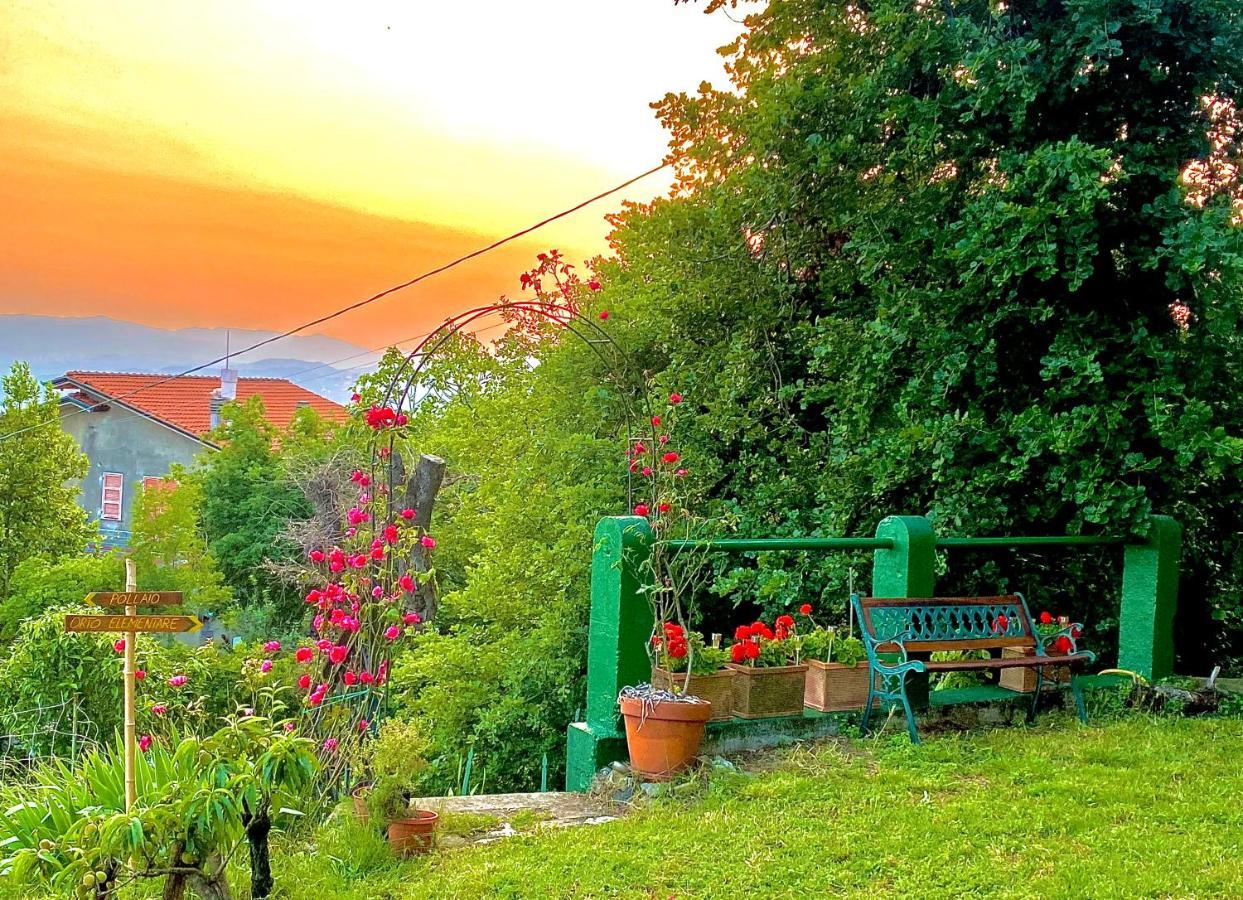 La Ginestra B&B Фоздиново Экстерьер фото